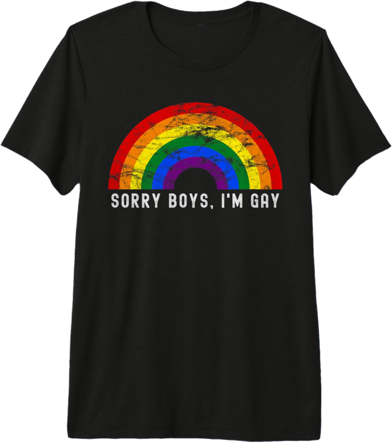 Sorry Boys I'm Gay Rainbow LGBTQ Pride Gay Rights Month